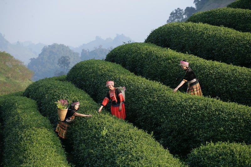 Virtual travel experiences